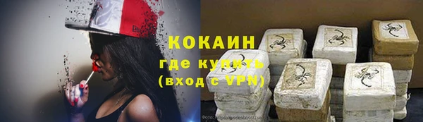 винт Алзамай