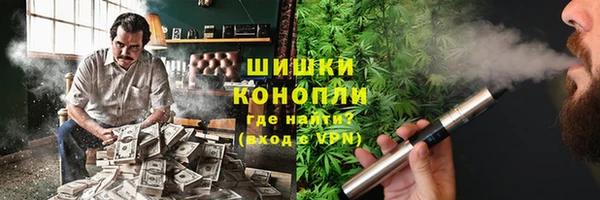 винт Алзамай