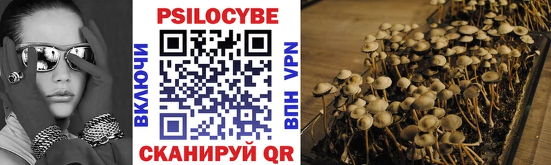 Псилоцибиновые грибы Cubensis Суровикино