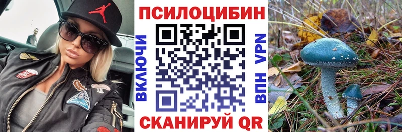 Галлюциногенные грибы Psilocybe  Суровикино 